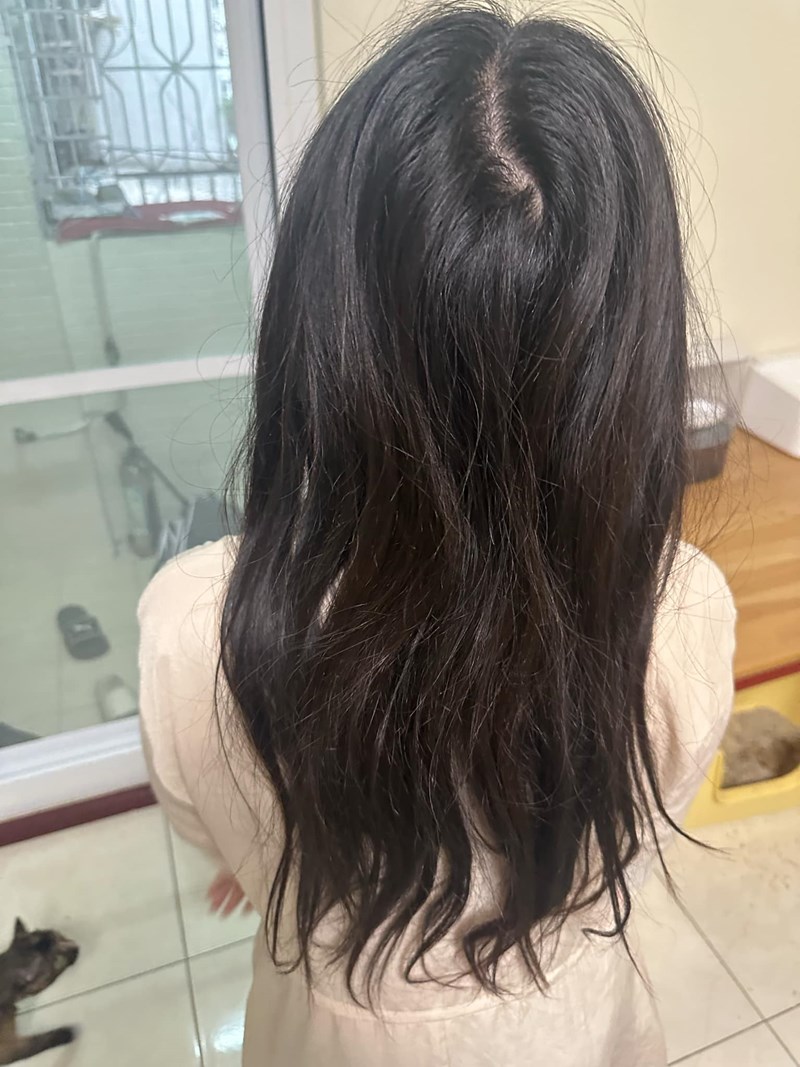 試用